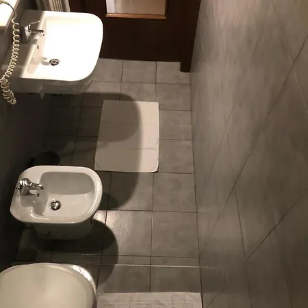Ai Leoni