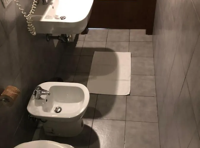 Ai Leoni Pensionat 2*